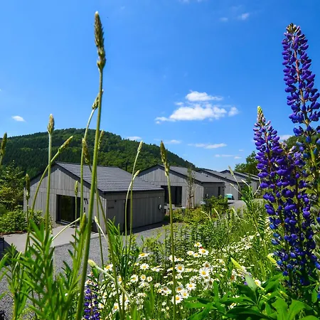 Holiday home Sauerland - Haus Maxim Winterberg