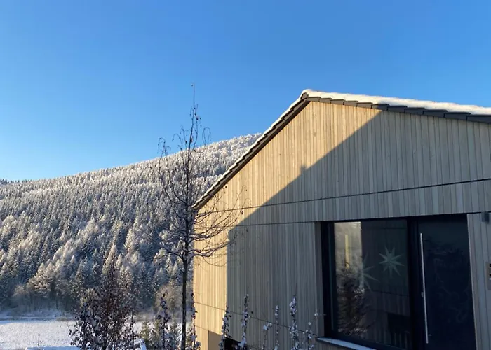 Sauerland - Haus Maxim Сasa de vacaciones